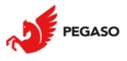 Pegaso Systems srl-Genova - Brain-Bit srls